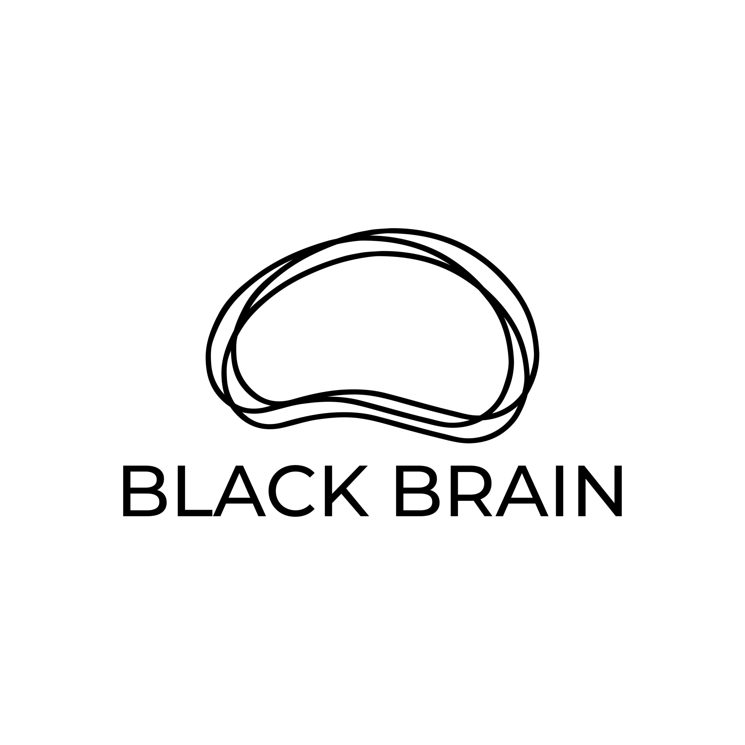 Black Brain Media logo – a media agency specializing in AI automations, paid social campaigns, performance marketing and CRM solutions.